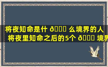 将夜知命是什 💐 么境界的人（将夜里知命之后的5个 🐎 境界）